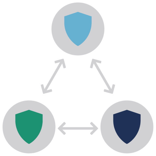 numerous agencies icon